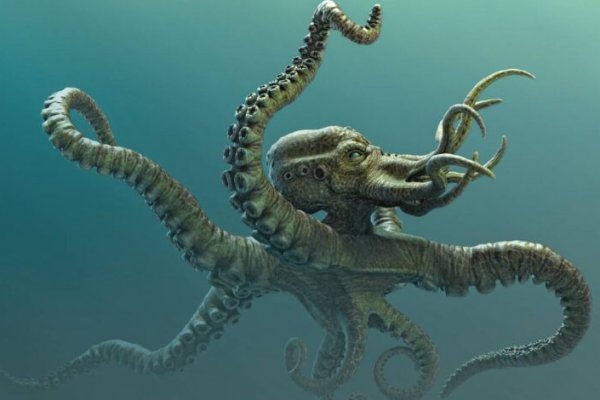 Kraken ссылка на сайт тор