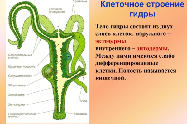 Что такое кракен 2024 маркетплейс