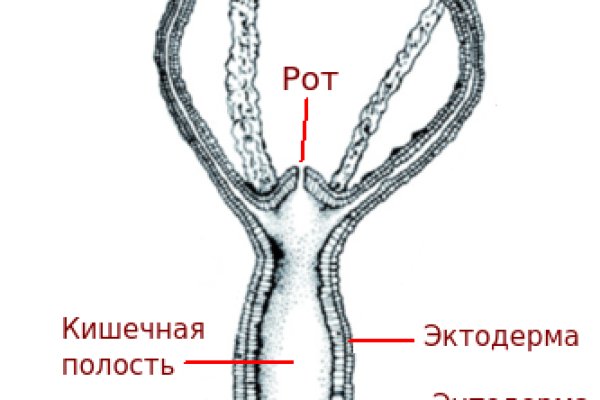 Кракен почему не заходит